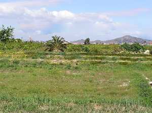 Margen del Segura al fondo Monteagudo