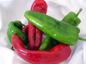 Pimientos tipo italiano