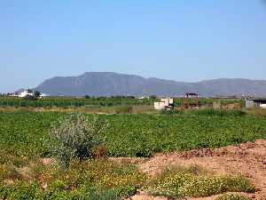 Sierra de la Muela desde Miranda
