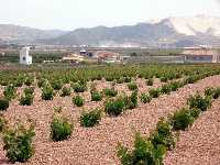 Vias y viviendas