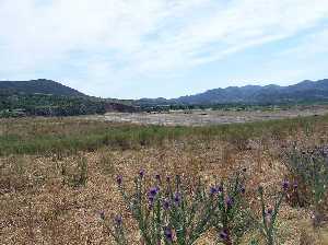 Eriales con la Almenara al fondo[Aguaderas]