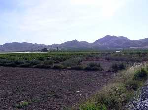 Vista al fondo de Carrasquilla y Almenara