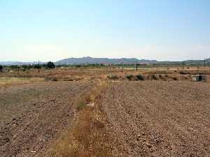 Campo en espera de siembra en La Tercia