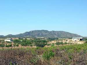 Sierra Columbares desde la finca Lo Gea