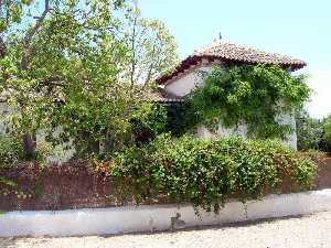 Jardn en la casa D, Emilio Rubio(Casa Eloisa)