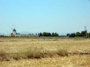 Vista del molino desde el colegio