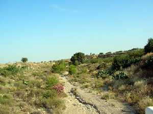 Rambla de la Murta