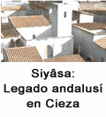 Cieza virtual