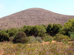 Cerros y arbolado junto al vertedero