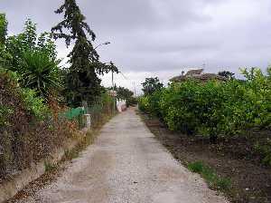 Camino de servicio entre la huerta 