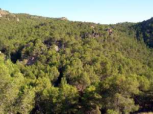 Parque Natural de El Valle 