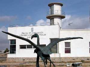 Centro de Investigacin y Conservacin de Humedales (Salinas y Arenales de San Pedro)