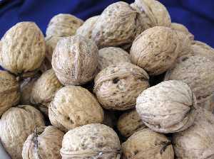Nueces  [Tortas de nuez]