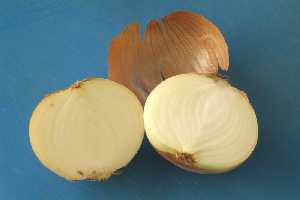Seccin de cebolla con detalle del interior comestible [Cebolla]