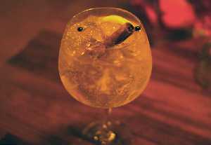 Gin Tonic con canela en rama 