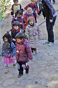 Nios