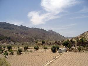 Vista de la Sierra de la Pea Rubia 