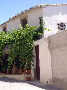 Calles de Torrealvilla 