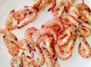 Langostino del Mar Menor cocido [Langostino del Mar Menor]