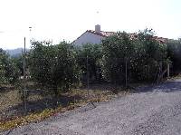 Huertos y Casas