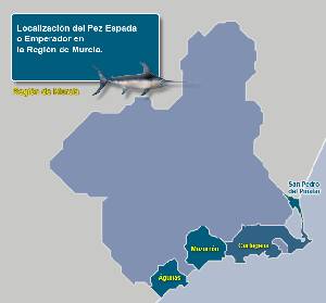 Puertos de entrada 