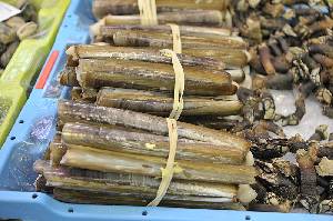 Navajas y percebes en la lonja [Navaja]