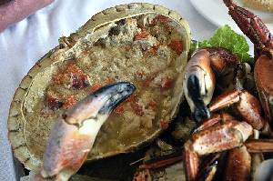 Buey de mar cocinado 